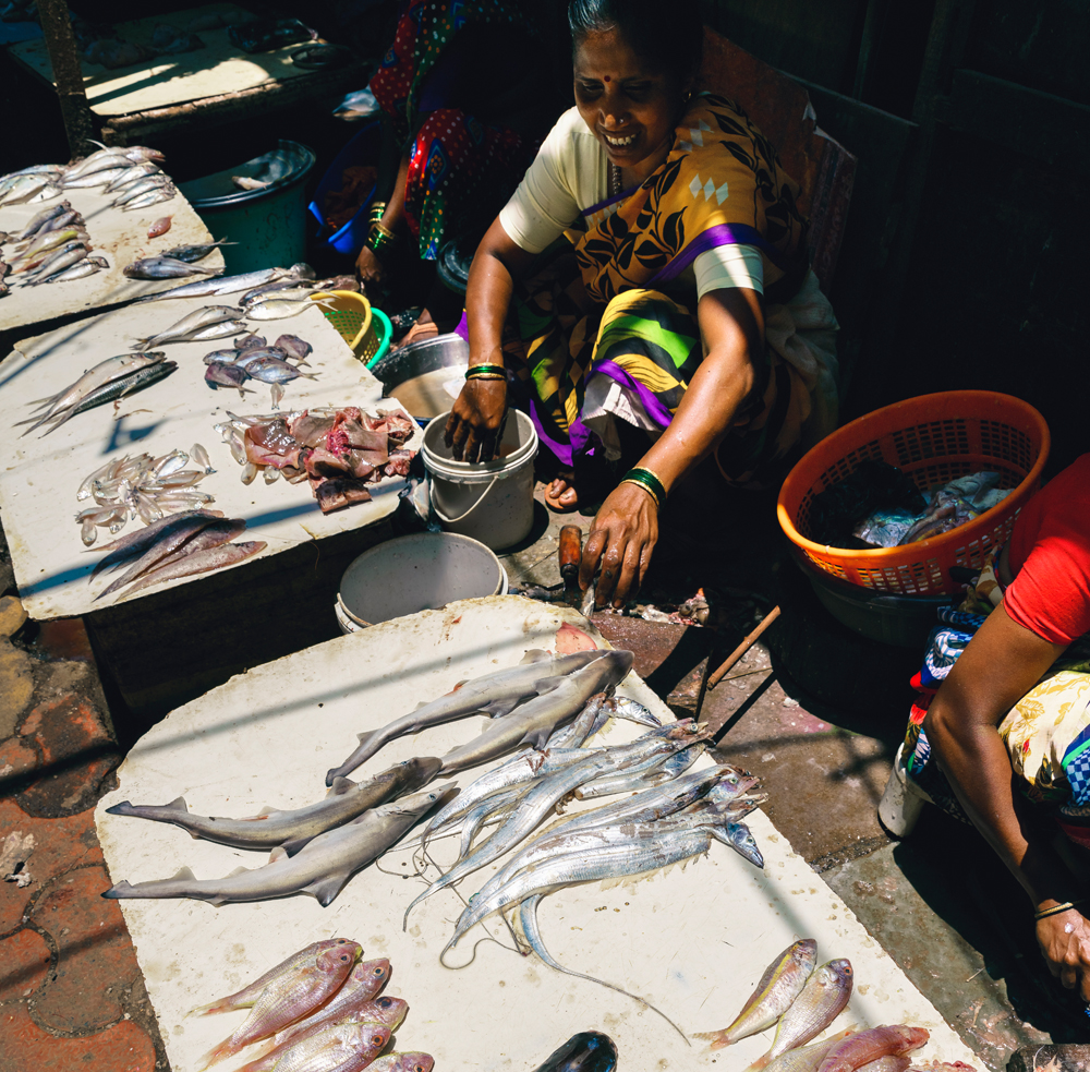 full day mumbai city tour