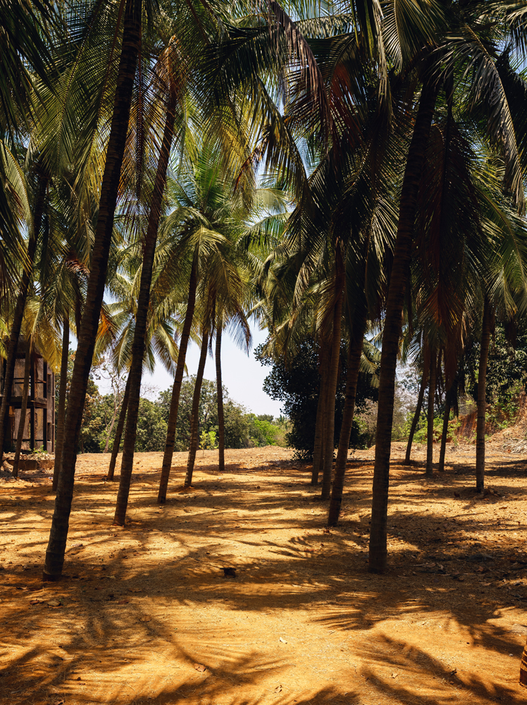 rural village tour